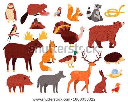 Cute animals. Cartoon forest animals, bear raccoon fox and cute owl, hand drawn mammals and birds, fall wood fauna vector illustration icons set. Bear and owl, wild fox and rabbit