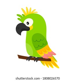 cute animals, cartoon parrot cockatoo, illustration for children, character bird isolated on white background, australian animal wildlife