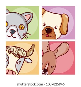 Cute animals cartoons