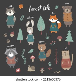 Cute Animals in clothes. Cartoon forest wildlife animals collection, fox, wolf, bear, beaver, raccoon, rabbit and wild cat. Vector illustration.