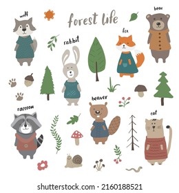 Cute Animals in clothes. Cartoon forest wildlife animals collection, fox, wolf, bear, beaver, raccoon, rabbit and wild cat. Vector illustration.