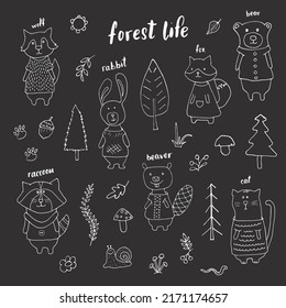 Cute Animals in clothes. Cartoon forest wildlife animals collection, fox, wolf, bear, beaver, raccoon, rabbit and wild cat. Vector illustration.