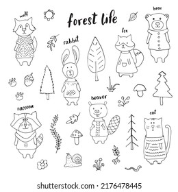 Cute Animals in clothes. Cartoon forest wildlife animals collection, fox, wolf, bear, beaver, raccoon, rabbit and wild cat. Vector illustration.