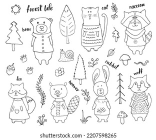 Animales con ropa. Colección de animales silvestres del bosque de dibujos animados, zorro, lobo, oso, castor, mapache, conejo y gato salvaje. Ilustración vectorial.