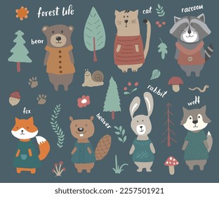 Cute Animals in clothes. Cartoon forest wildlife animals collection, fox, wolf, bear, beaver, raccoon, rabbit and wild cat. Vector illustration.