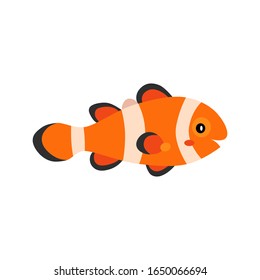 Cute animals - clown fish. Illustrations for children. Baby Shower card. Cartoon character tropical fish isolated on white background. Coral reef underwater animal wildlife