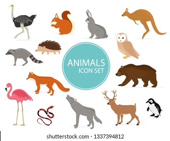 Cute animals collection: wild animals, exotic animals isolated on white background. Vector illustration design template