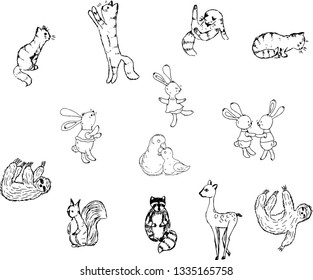 Cute animals. Coloring. Vector illustration.