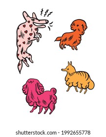 Animales cortos con colores adorables