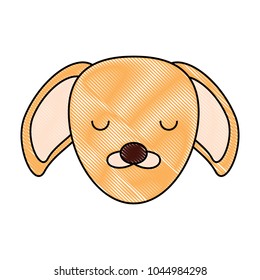 Cute animals design