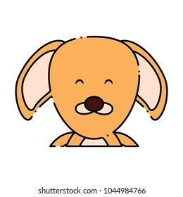 Cute animals design