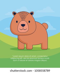 Cute animals design