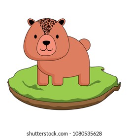 cute animals design