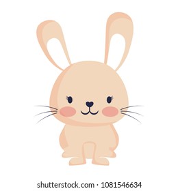 cute animals design