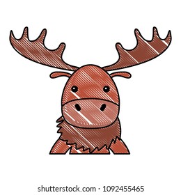 Cute animals design
