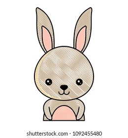 Cute animals design