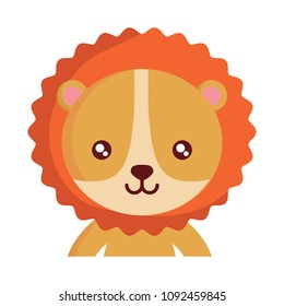 Cute animals design