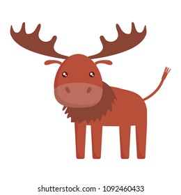 Cute animals design
