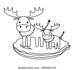 Cute animals design