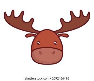 Cute animals design