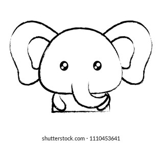 Cute animals design