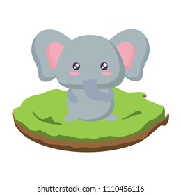 Cute animals design