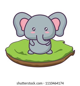 Cute animals design
