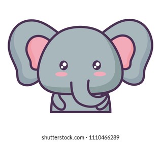 Cute animals design