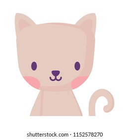 cute animals design
