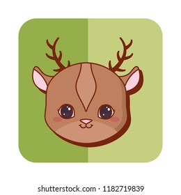 cute animals design