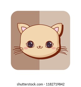 cute animals design