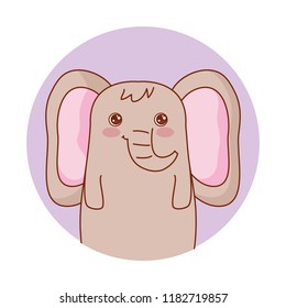 cute animals design