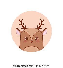 cute animals design