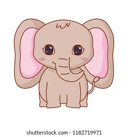 cute animals design