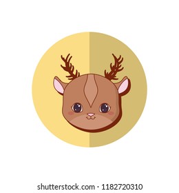 cute animals design