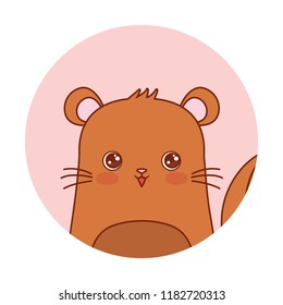 cute animals design