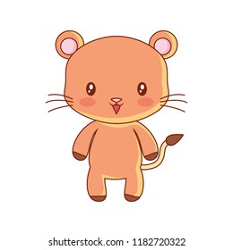 cute animals design