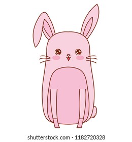 cute animals design
