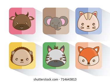 Cute animals design