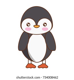 cute animals design 