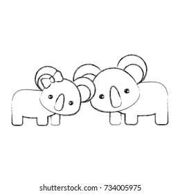cute animals design two koala bears