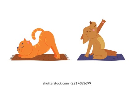 Cute animals doing yoga. Cat and dog performing yoga asanas set cartoon vector illustration