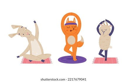 Cute animals doing yoga. Llama, fox and sheep performing various yoga poses set cartoon vector illustration