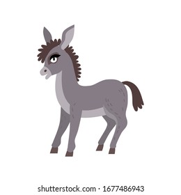 Cute animals - donkey. Illustrations for children. Baby Shower card. Cartoon domestic character isolated on white background. Farm wildlife