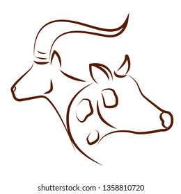 cute animals draw