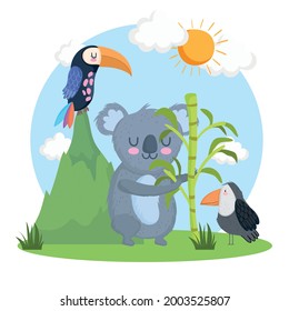 cute animals drawing koala and toucans