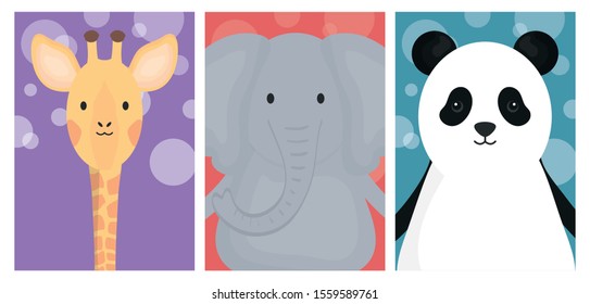 cute animals elephant giraffe and panda banner dotted background vector illustration
