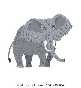 Cute animals - Elephant. Illustrations for children. Baby Shower card. Cartoon elephant calf isolated on white background. African animal wildlife