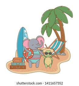 cute animals enjoying summer vacations