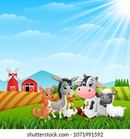Cute animals farm in the hills